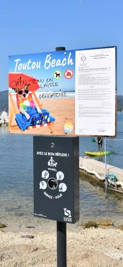 Studio Romy Les Pieds Dans L'Eau 10 M De La Mer ラ・セーヌ・シュル・メール エクステリア 写真